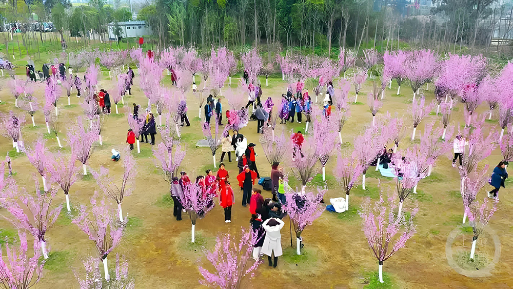 云屯生态体育公园：春日满分美景引客来(图1)