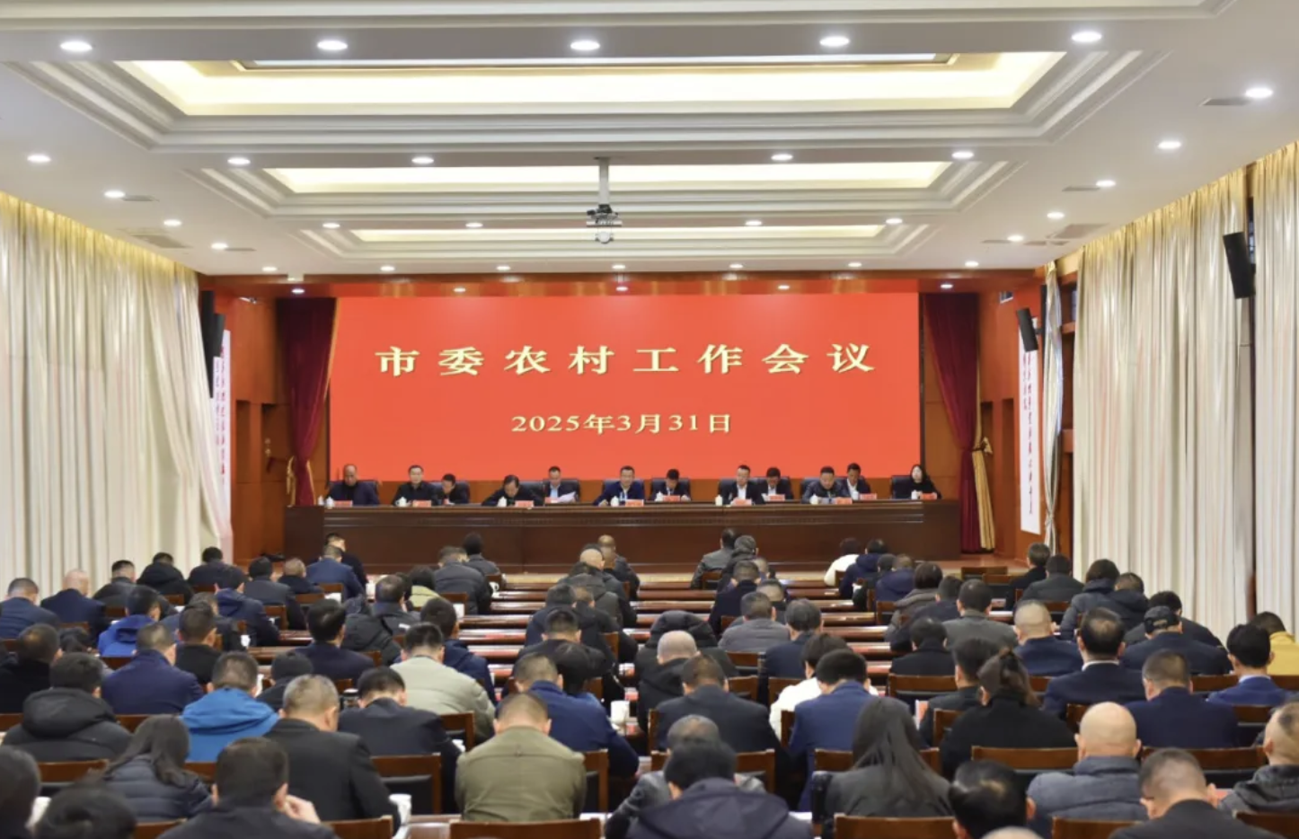 市委农村工作会议召开(图2)