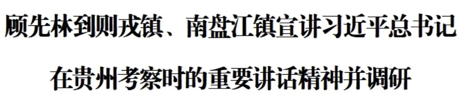 顾先林到则戎镇、南盘江镇宣讲习近平总书记在贵州考察时的重要讲话精神并调研(图1)