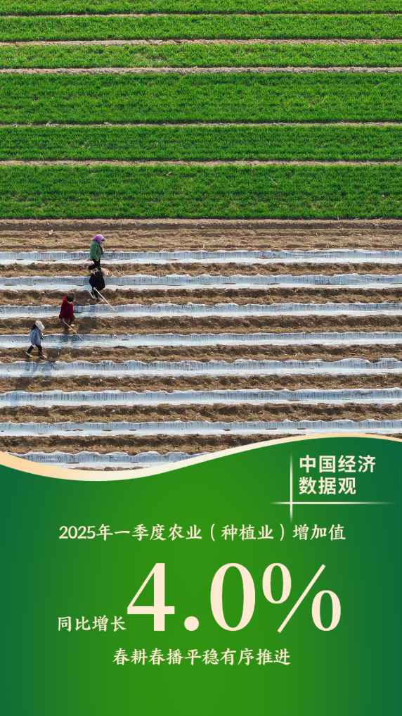 中国经济数据观丨十组数据看一季度经济发展成色(图3)