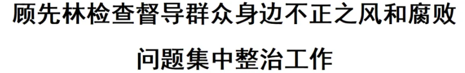 顾先林检查督导群众身边不正之风和腐败问题集中整治工作(图1)