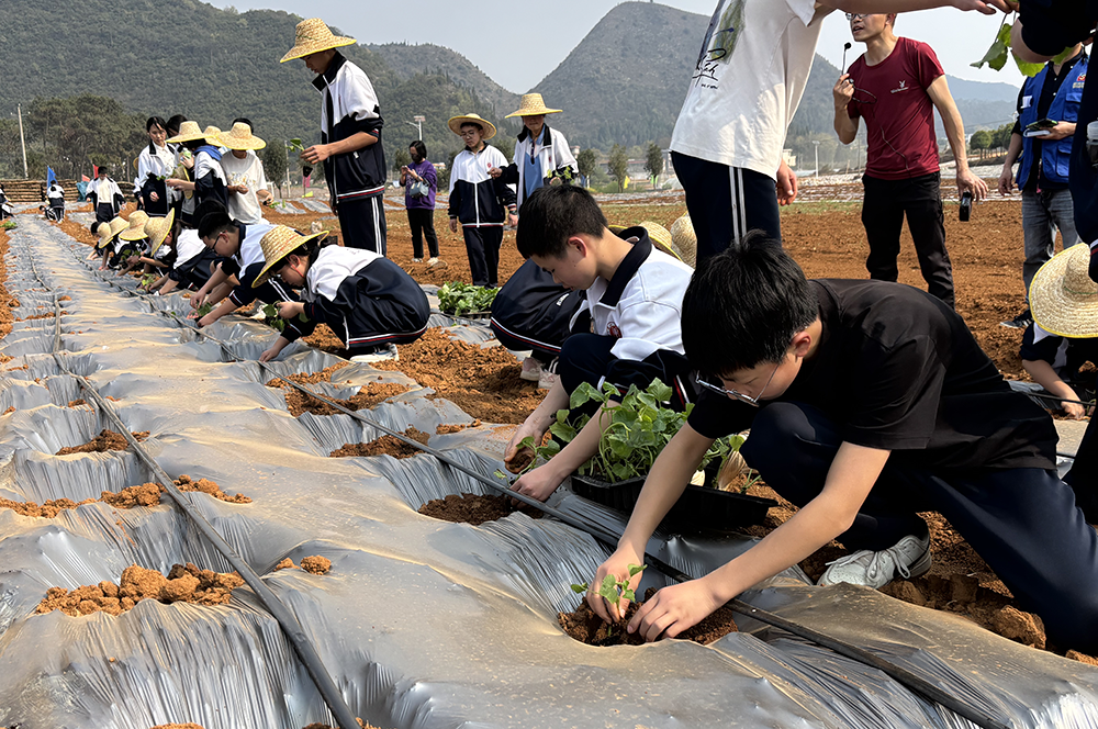 脚下沾泥土 心中谋蓝图——“六员”书记黄嘉楠驻村记(图3)