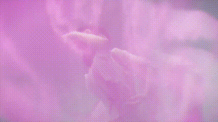 “诗”与“远方”相遇,解码我省首支水下舞蹈作品《梦里春山》(图8) “诗”与“远方”相遇,解码我省首支水下舞蹈作品《梦里春山》(图8)