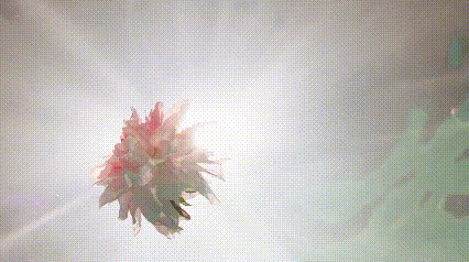 “诗”与“远方”相遇,解码我省首支水下舞蹈作品《梦里春山》(图9) “诗”与“远方”相遇,解码我省首支水下舞蹈作品《梦里春山》(图9)