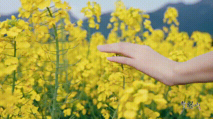 “诗”与“远方”相遇,解码我省首支水下舞蹈作品《梦里春山》(图11) “诗”与“远方”相遇,解码我省首支水下舞蹈作品《梦里春山》(图11)