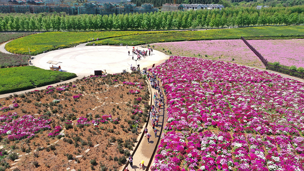 阳光谷旅游度假区迎来学生春游研学高峰(图1)
