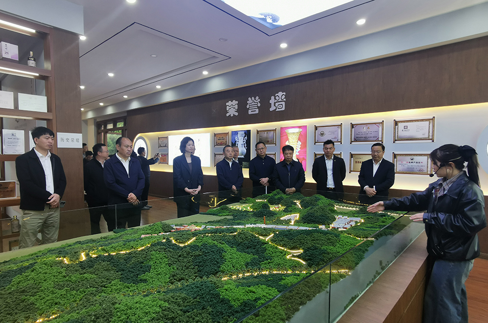 兴义市优强民营企业家代表走访调研部分优强民营企业(图1)