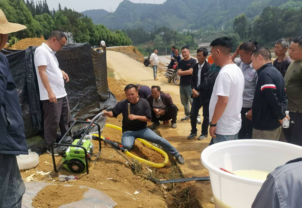 万鲁片区召开2025年烤烟标准化移栽现场培训会(图2)