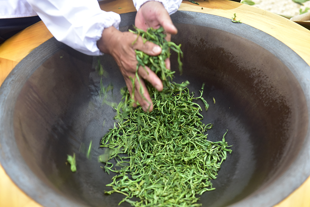 七舍镇首届“古茶杯”手工茶大赛：让传统技艺焕发新生机(图5)