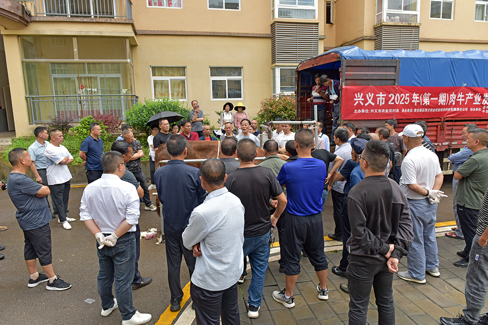 兴义：聚焦短板精准施策 理论+实践助力肉牛产业发展(图3)