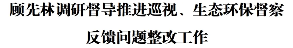 顾先林调研督导推进巡视、生态环保督察反馈问题整改工作(图1)
