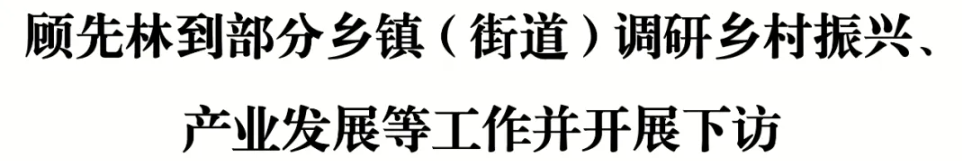 顾先林到部分乡镇（街道）调研乡村振兴、产业发展等工作并开展下访(图1)