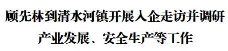 顾先林到清水河镇开展入企走访并调研产业发展、安全生产等工作(图1)
