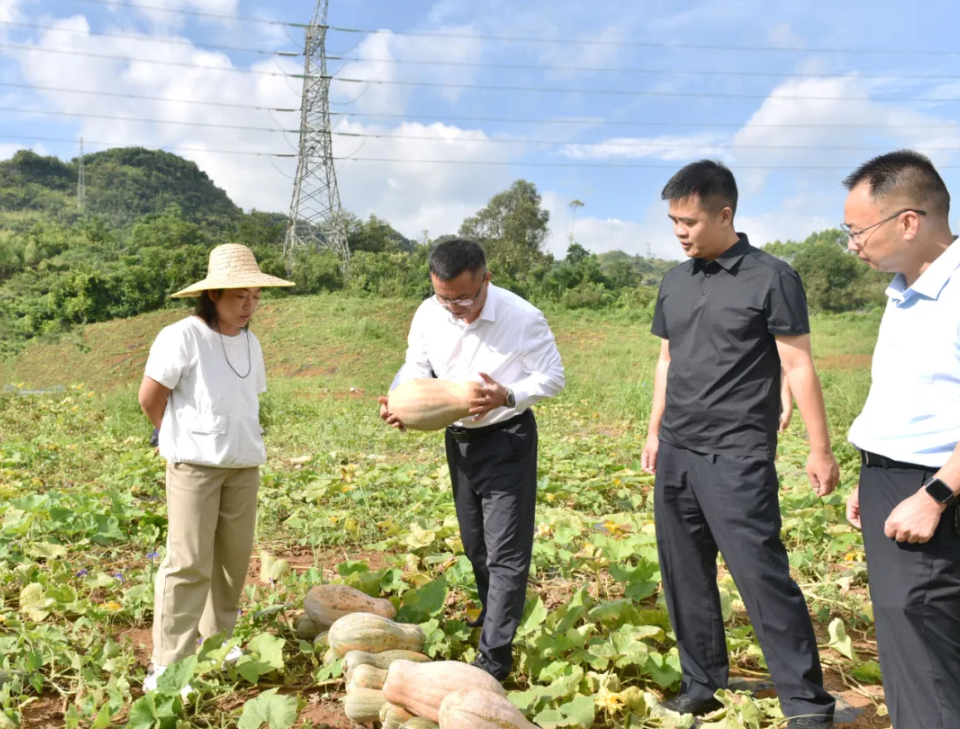 顾先林到清水河镇开展入企走访并调研产业发展、安全生产等工作(图2)