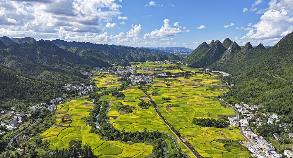 兴义：60万亩秋粮喜获丰收 农业机械化助力秋收高效推进(图5)