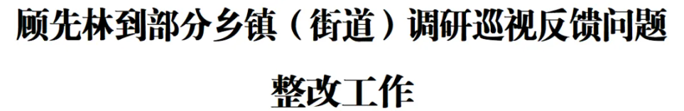 顾先林到部分乡镇(街道)调研巡视反馈问题整改工作(图1) 顾先林到部分乡镇(街道)调研巡视反馈问题整改工作(图1)
