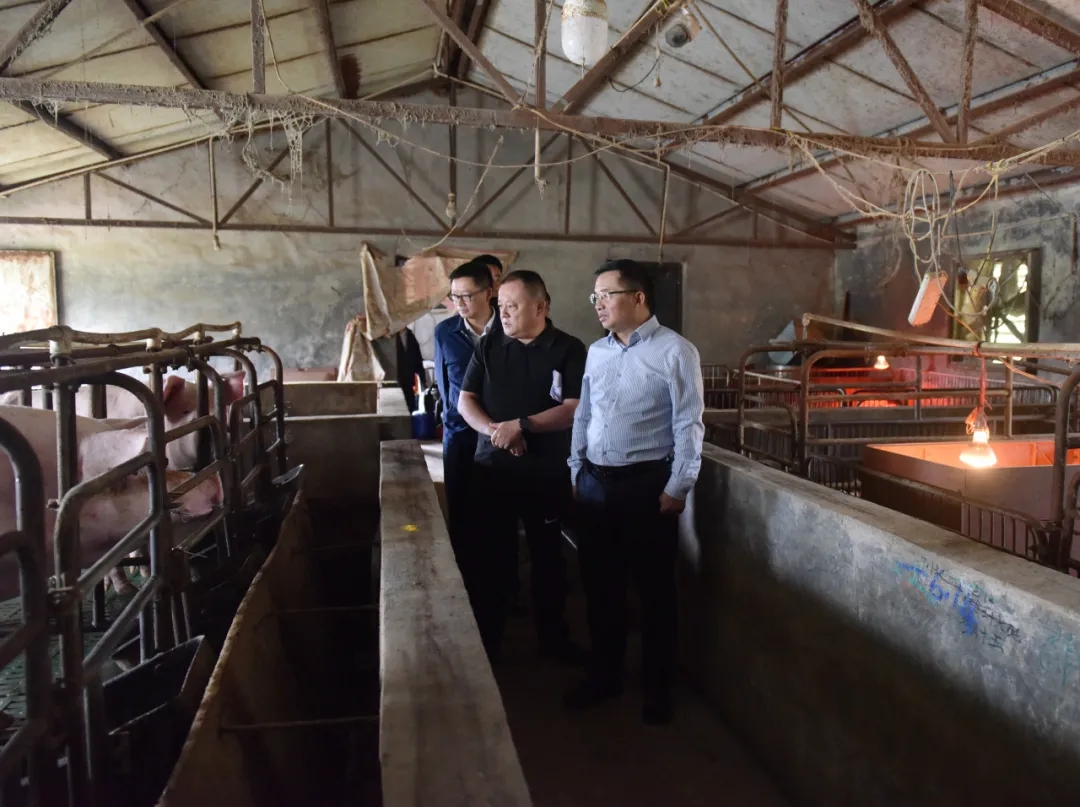 顾先林到部分乡镇(街道)调研巡视反馈问题整改工作(图4) 顾先林到部分乡镇(街道)调研巡视反馈问题整改工作(图4)