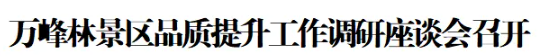 万峰林景区品质提升工作调研座谈会召开(图1) 万峰林景区品质提升工作调研座谈会召开(图1)