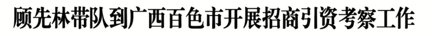顾先林带队到广西百色市开展招商引资考察工作(图1)