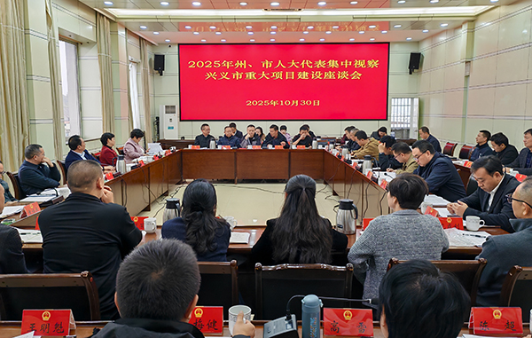 兴义市2025年度州、市人大代表集中视察活动举行(图2)