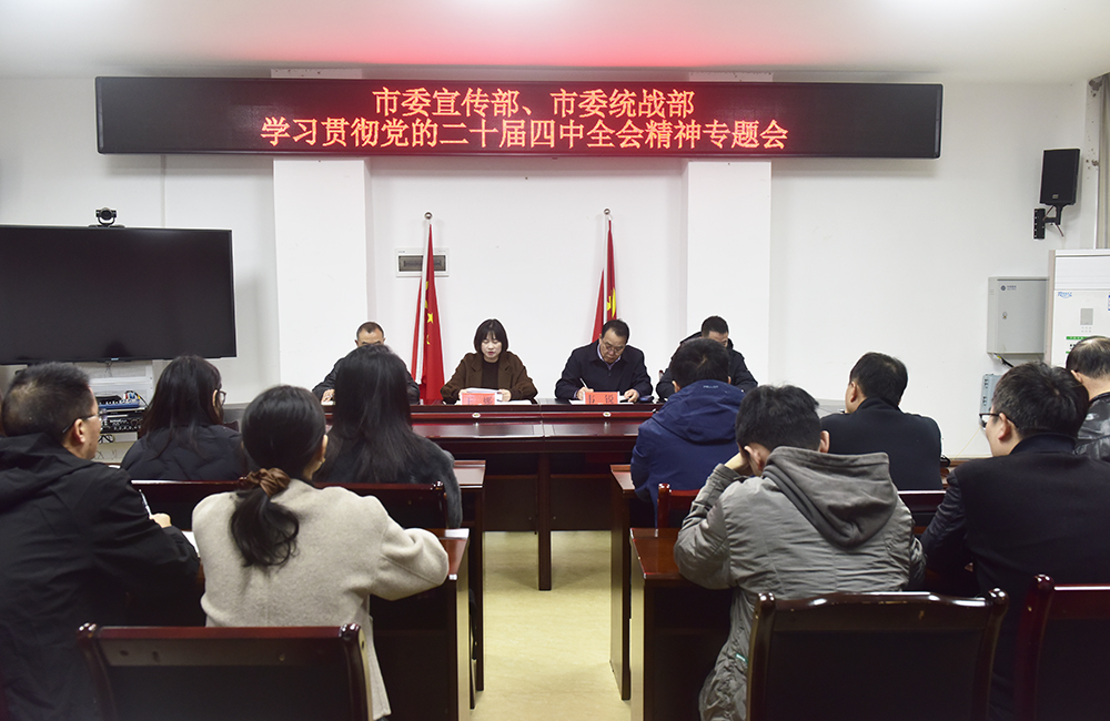 市委宣传部、市委统战部学习贯彻党的二十届四中全会精神专题会举行(图1)