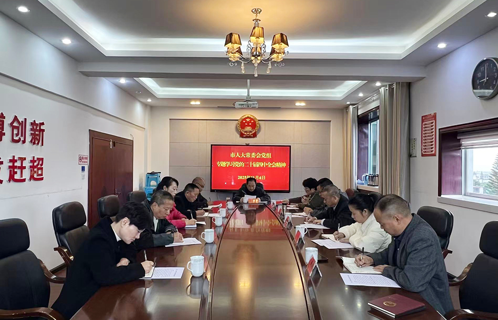 市人大常委会党组专题学习党的二十届四中全会精神(图1)