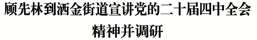 顾先林到洒金街道宣讲党的二十届四中全会精神并调研(图1)
