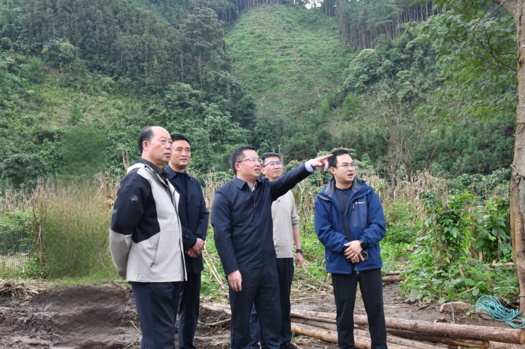 顾先林到三江口镇、捧乍镇宣讲党的二十届四中全会精神并调研(图2)