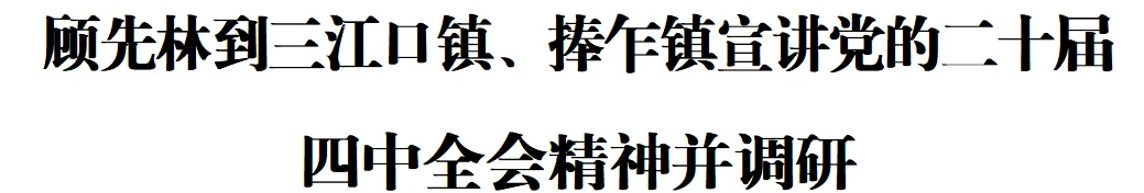 顾先林到三江口镇、捧乍镇宣讲党的二十届四中全会精神并调研(图1)