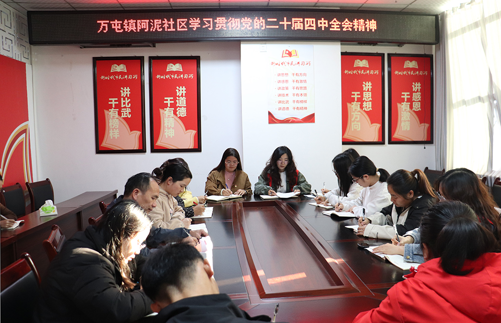 万屯镇阿泥社区：创新宣讲方式 让党的二十届四中全会精神入脑入心(图4)