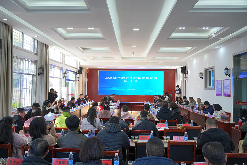 2025数字助力乡村高质量发展座谈会召开(图1)