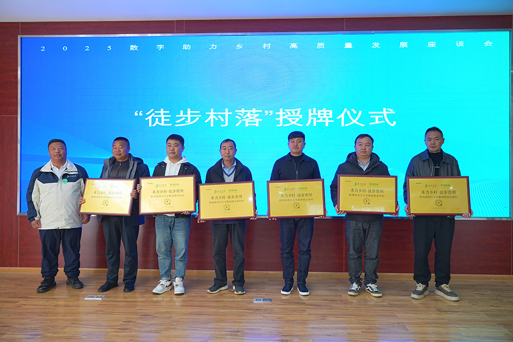2025数字助力乡村高质量发展座谈会召开(图2)