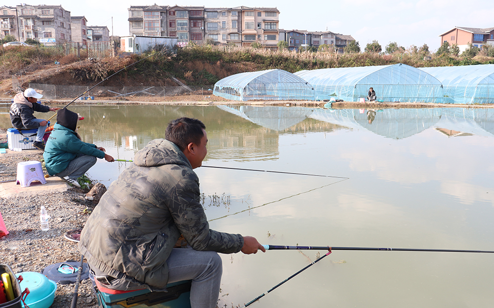 兴义鲁屯：“采摘+垂钓”农旅融合点燃乡村休闲热(图3)