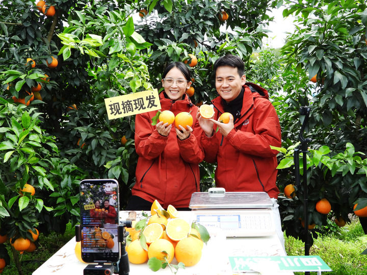 从中央经济工作会议看“十五五”开局之年中国经济着力点(图11)