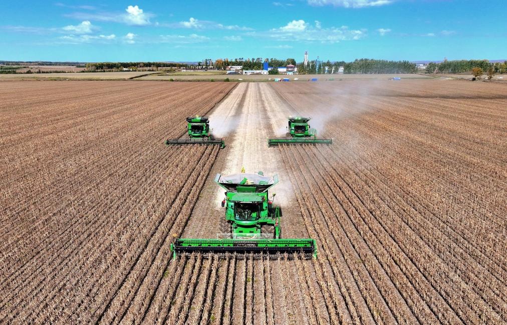 2025“三农”成绩单丨筑牢粮安“压舱石” 守护民生“基本盘”(图2)