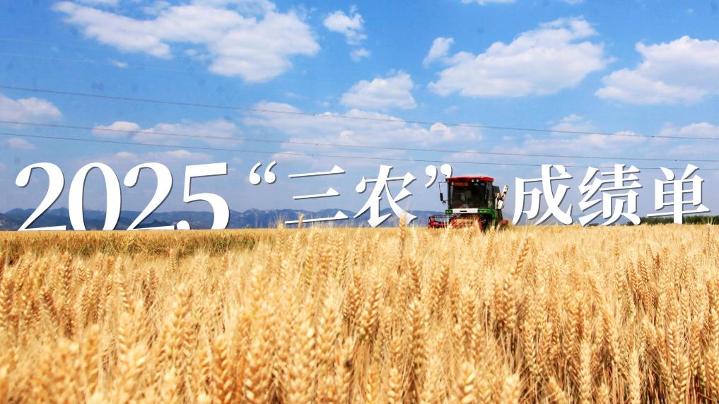 2025“三农”成绩单丨筑牢粮安“压舱石” 守护民生“基本盘”(图3)