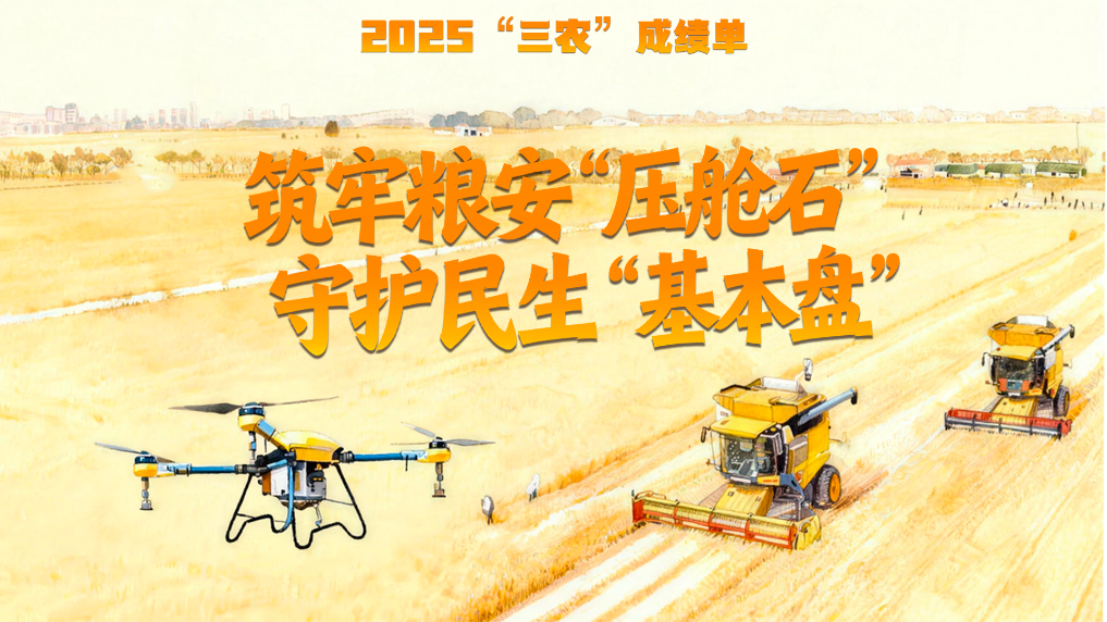 2025“三农”成绩单丨筑牢粮安“压舱石” 守护民生“基本盘”(图5)
