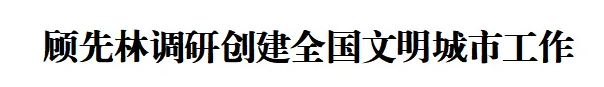 顾先林调研创建全国文明城市工作(图1)