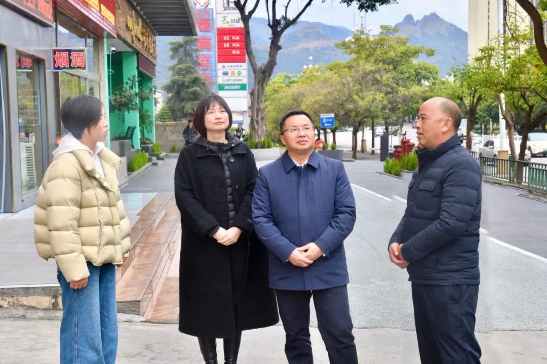 顾先林调研创建全国文明城市工作(图3)