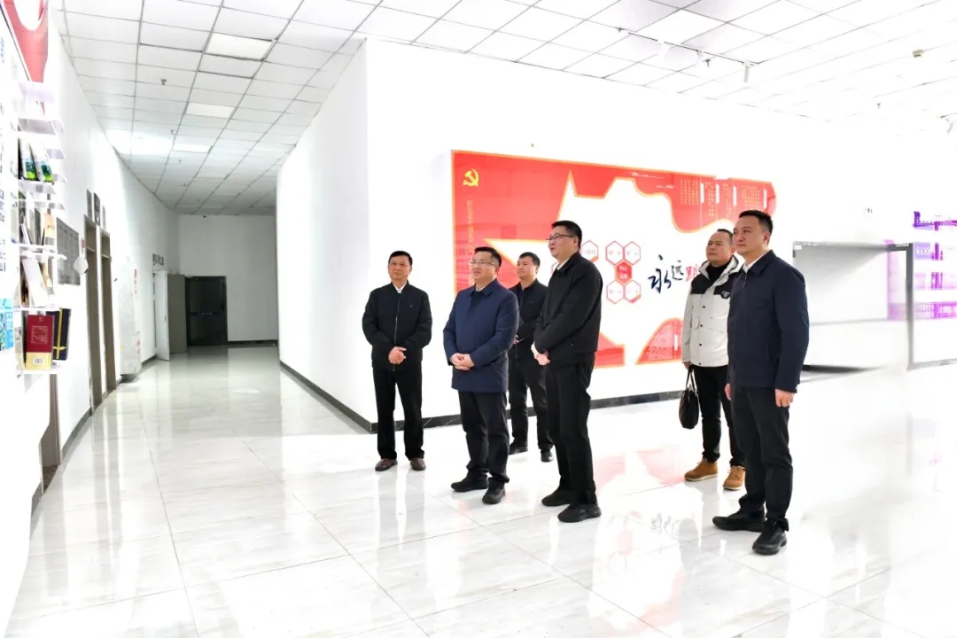 顾先林调研优化营商环境等工作(图5)