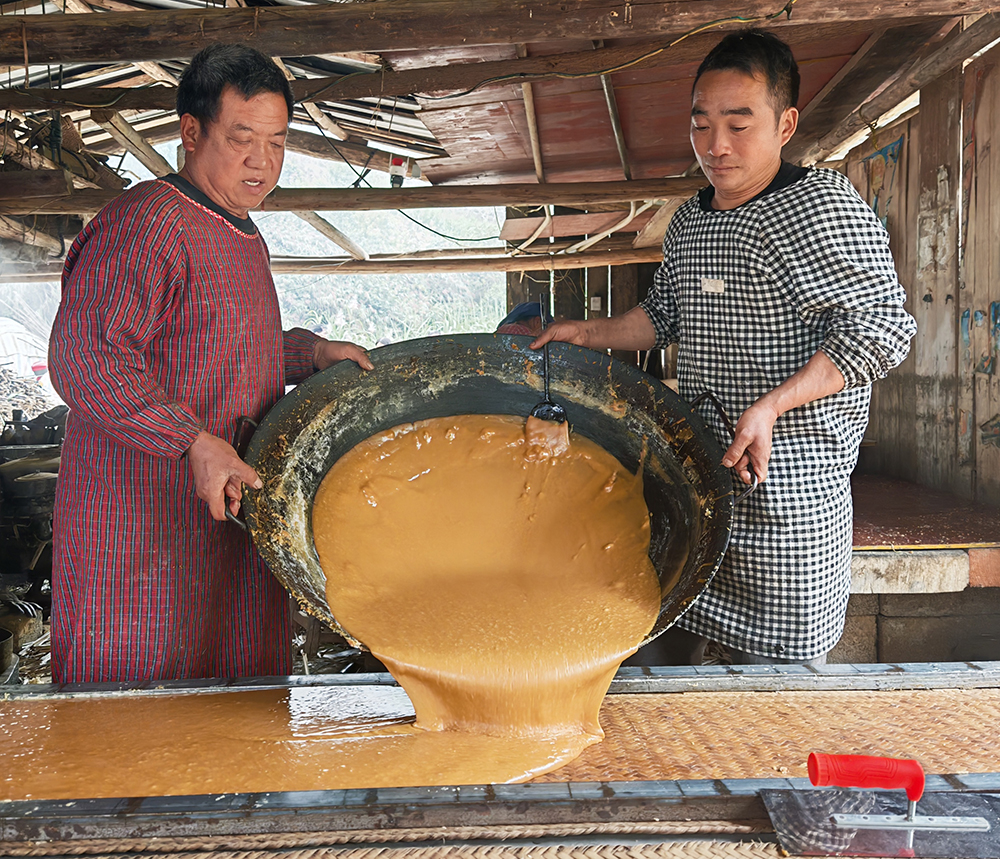 南盘江镇：万亩甘蔗丰收上市 “甜蜜产业”绘就乡村振兴新画卷(图4)