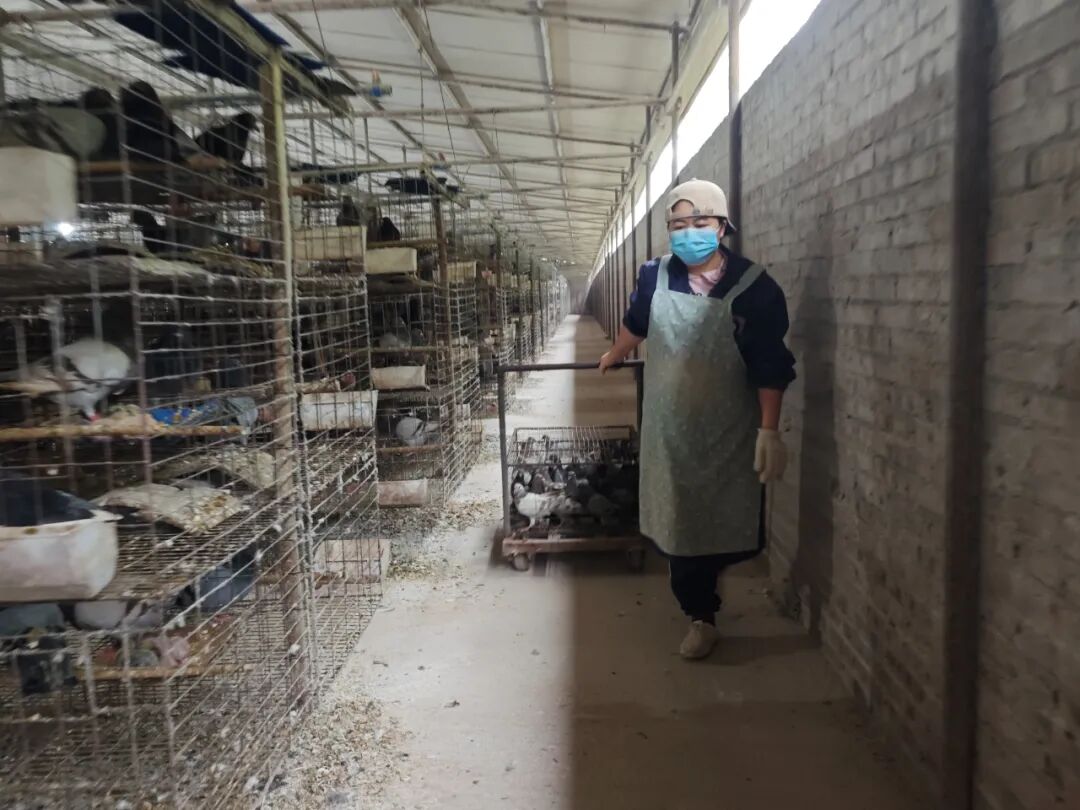 从远行到深耕，在家门口就能把日子过旺丨幸福的刻度(图4)