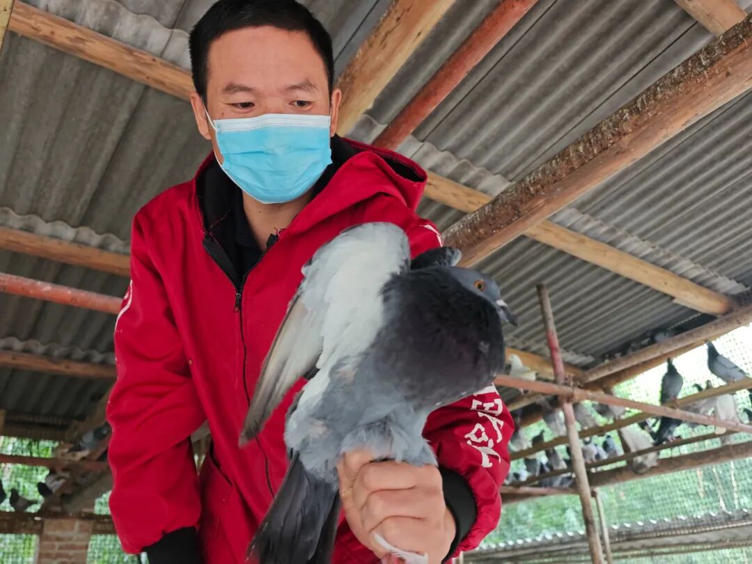 从远行到深耕，在家门口就能把日子过旺丨幸福的刻度(图7)