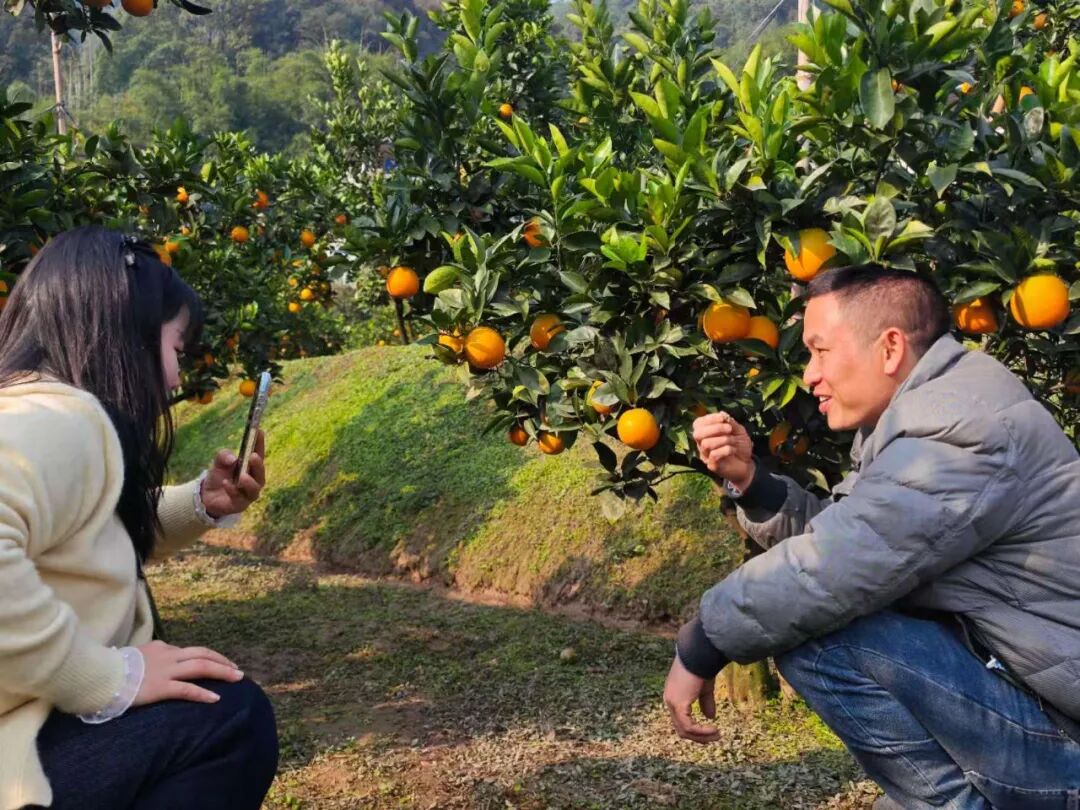 从远行到深耕，在家门口就能把日子过旺丨幸福的刻度(图6)
