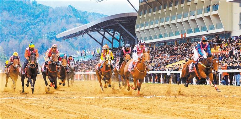 “村”意盎然(图5)