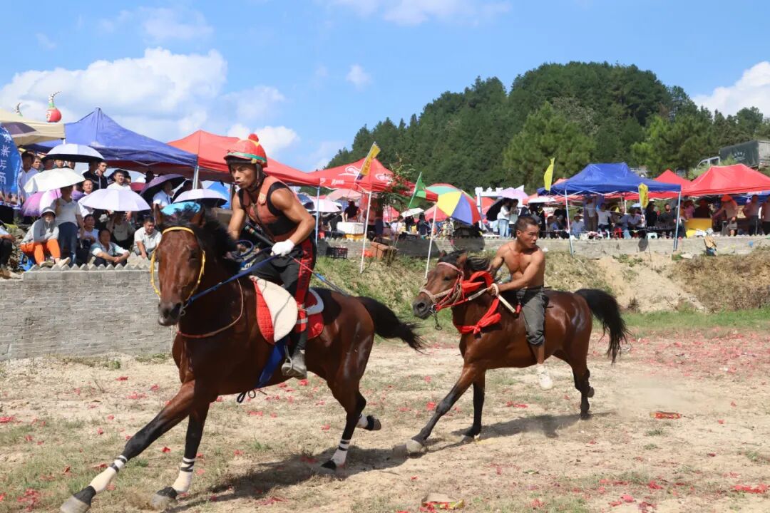 高质量发展这五年 | “一匹马”赛出旅游新天地(图2) 高质量发展这五年 | “一匹马”赛出旅游新天地(图2)