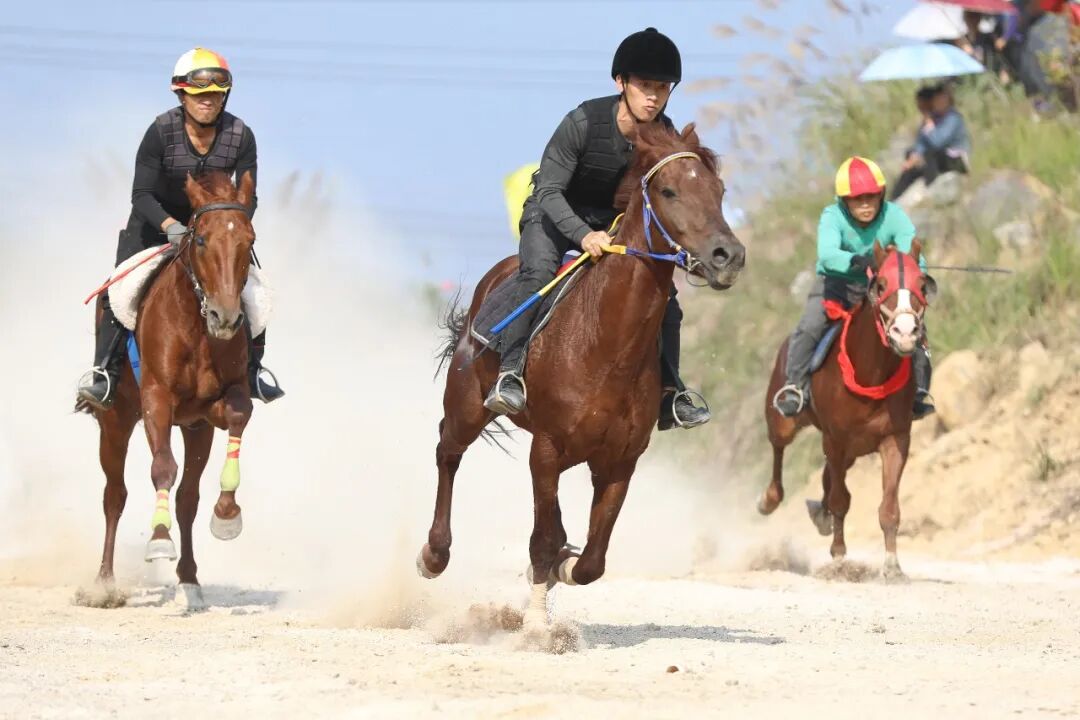 高质量发展这五年 | “一匹马”赛出旅游新天地(图3) 高质量发展这五年 | “一匹马”赛出旅游新天地(图3)