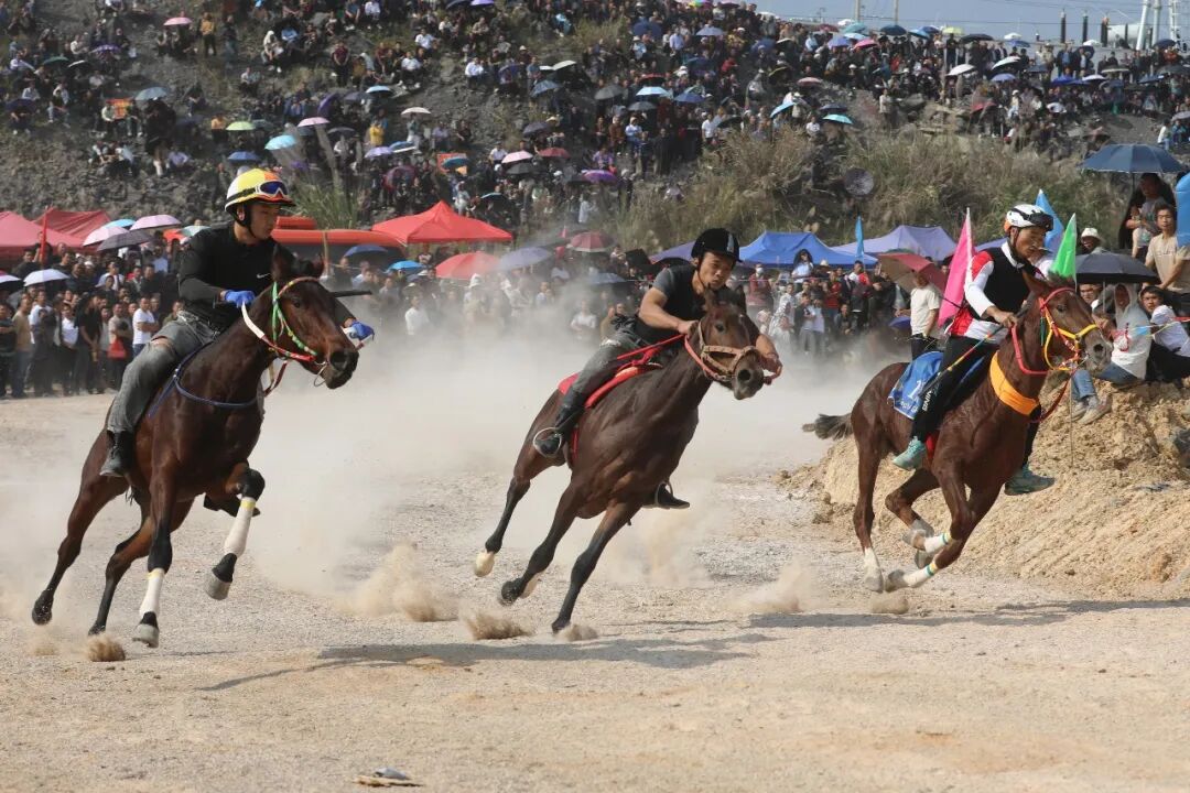 高质量发展这五年 | “一匹马”赛出旅游新天地(图4) 高质量发展这五年 | “一匹马”赛出旅游新天地(图4)