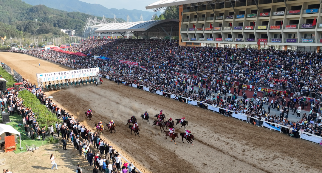 高质量发展这五年 | “一匹马”赛出旅游新天地(图5) 高质量发展这五年 | “一匹马”赛出旅游新天地(图5)