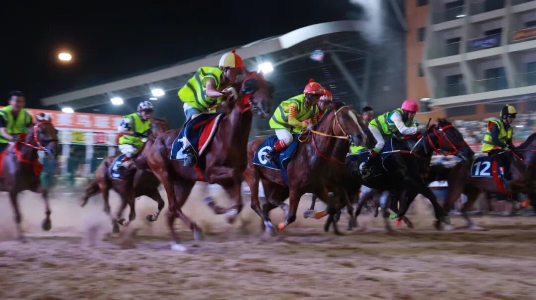 高质量发展这五年 | “一匹马”赛出旅游新天地(图8) 高质量发展这五年 | “一匹马”赛出旅游新天地(图8)